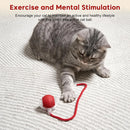 Bolinha Inteligente para Gatos e Cães – Luz LED, Recarga USB e Movimento 360