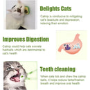 Abacate de Brinquedo para Gatos com Erva-de-Gato (Catnip)