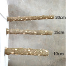 Barra Natural para Lixar Bico e Garras - StonePerch