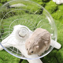Disco de Corrida Silencioso para Hamster – Exercício Transparente para Pequenos Animais