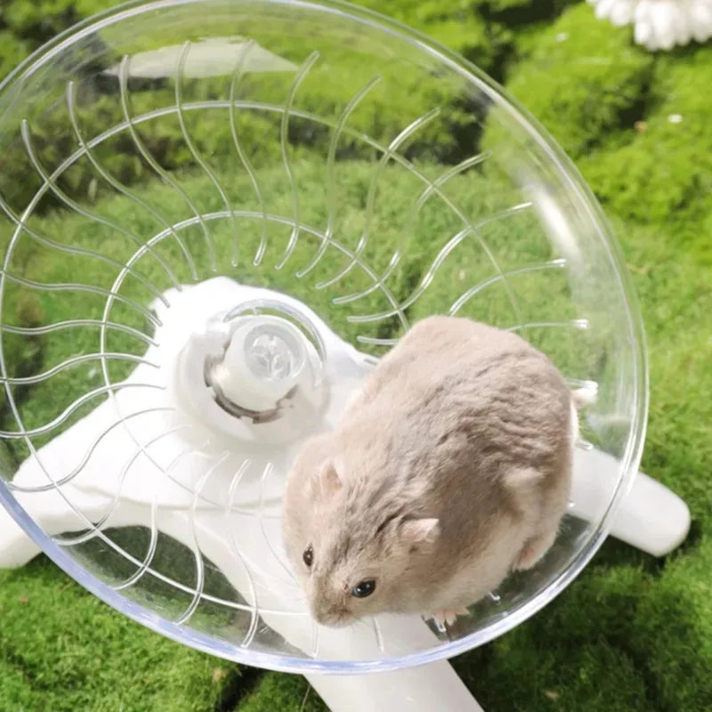 Disco de Corrida Silencioso para Hamster – Exercício Transparente para Pequenos Animais