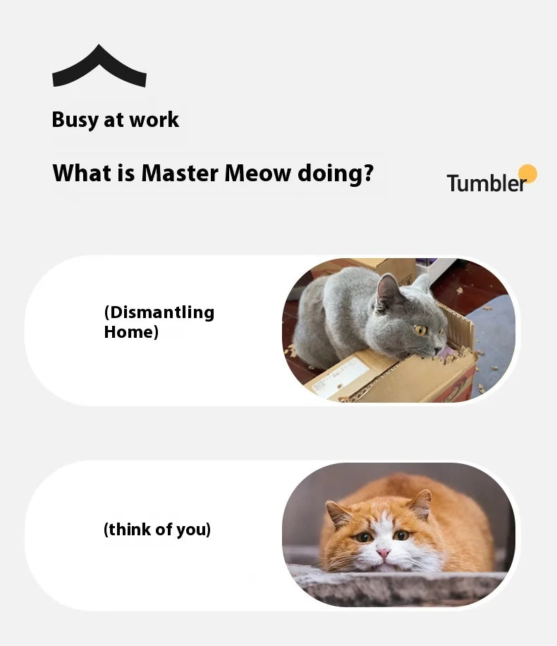 Bola Elétrica Inteligente Interativa