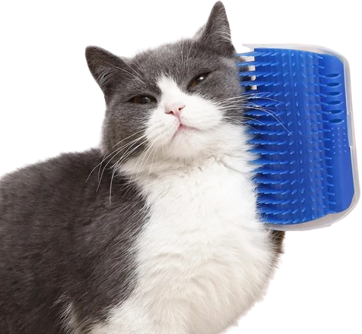 Escova de Massagem e Remoção de Pelos para Gatos