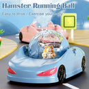 Bola de Corrida Transparente para Hamster – Extra Grande com Design Estilo Carro Esportivo