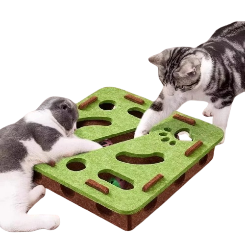 Brinquedo de Puzzle para Gatos – Caixa com Bolinha e Exercício Indoor