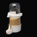 Alimentador e Bebedouro Automático para Pássaros