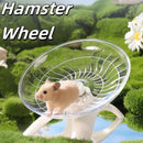 Disco de Corrida Silencioso para Hamster – Exercício Transparente para Pequenos Animais