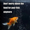 Alimentador Automático para Aquário 100ML