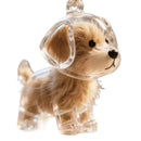 Cápsula Transparente para Guardar Pelos do Pet