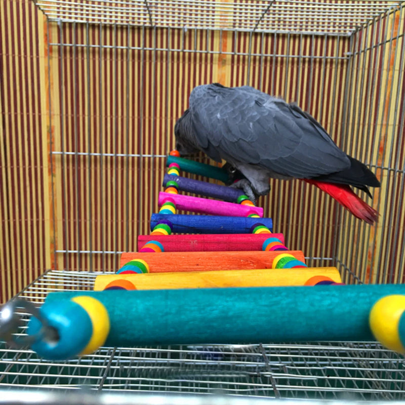 Escada de Madeira Colorida para Pássaros – Brinquedo de Escalada e Balanço