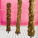 Barra Natural para Lixar Bico e Garras - StonePerch