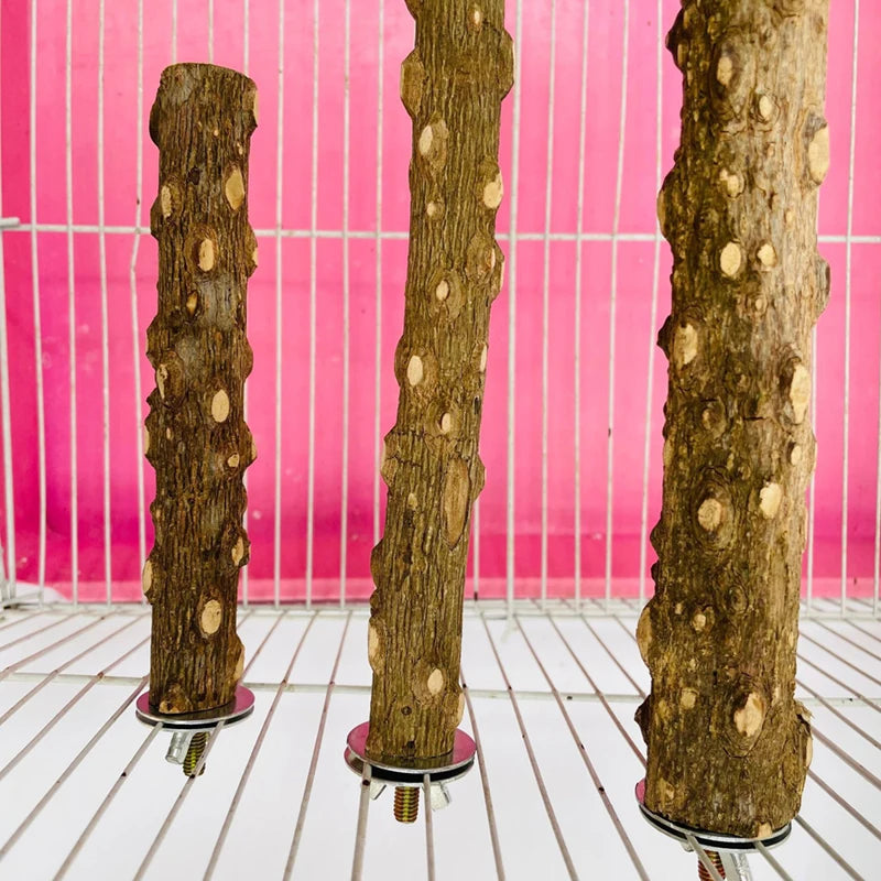 Barra Natural para Lixar Bico e Garras - StonePerch