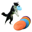 Disco de Brincadeira Resistente para Treino e Diversão