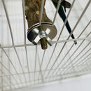 Barra Natural para Lixar Bico e Garras - StonePerch